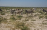 Национальный парк, Намиб, Науклуфт, Соссусфлей, сесрием,дедфлей,тсохаб,дюны,намибия,