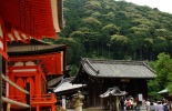 япония, древняя столица, киото, Rokuon-ji temple, kiemidzu dera, путешествие