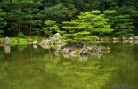 япония, древняя столица, киото, Rokuon-ji temple, kiemidzu dera, путешествие