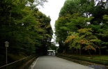 япония, древняя столица, киото, Rokuon-ji temple, kiemidzu dera, путешествие