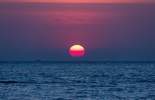 дайвинг,остров,ко-лан,дайв-трип, koh larn, морские жители, море, подводная съемка, go pro, осьминог,закат, солцне, паттайя, таиланд