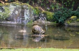 остров Ванкувер, сады бутчардов, бутчарт гарден, butchart garden, британская колумбия, канада, виктория