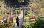 остров Ванкувер, сады бутчардов, бутчарт гарден, butchart garden, британская колумбия, канада, виктория