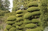 остров Ванкувер, сады бутчардов, бутчарт гарден, butchart garden, британская колумбия, канада, виктория