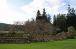 остров Ванкувер, сады бутчардов, бутчарт гарден, butchart garden, британская колумбия, канада, виктория