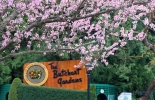 остров Ванкувер, сады бутчардов, бутчарт гарден, butchart garden, британская колумбия, канада, виктория