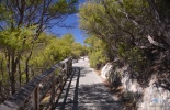 новая зеландия, new zealand, wai-o-tapu, rotorua, роторуа, ваиотапу, матамата, хоббиты, путешествие, гейзеры, озеро шампанского, разлом коры