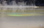 новая зеландия, new zealand, wai-o-tapu, rotorua, роторуа, ваиотапу, матамата, хоббиты, путешествие, гейзеры, озеро шампанского, разлом коры