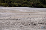 новая зеландия, new zealand, wai-o-tapu, rotorua, роторуа, ваиотапу, матамата, хоббиты, путешествие, гейзеры, озеро шампанского, разлом коры
