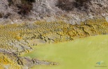 новая зеландия, new zealand, wai-o-tapu, rotorua, роторуа, ваиотапу, матамата, хоббиты, путешествие, гейзеры, озеро шампанского, разлом коры