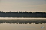 граница, белоруссия, латвия, пересечение, отель, мердзабаки, merdzabaki, лиластер, lilaster, коттедж, майское путешествие