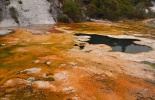 таупо, оракеи и корако, тонгариро, denissimo, thermal village, whakarewarewa, вакареварева, гейзер, деревня маори, извергающийся гейзер, корако, маори, новая зеландия, оракеи, оракеи корако, природа, путешествие, роторуа, термальный парк