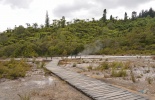 таупо, оракеи и корако, тонгариро, denissimo, thermal village, whakarewarewa, вакареварева, гейзер, деревня маори, извергающийся гейзер, корако, маори, новая зеландия, оракеи, оракеи корако, природа, путешествие, роторуа, термальный парк