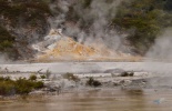 таупо, оракеи и корако, тонгариро, denissimo, thermal village, whakarewarewa, вакареварева, гейзер, деревня маори, извергающийся гейзер, корако, маори, новая зеландия, оракеи, оракеи корако, природа, путешествие, роторуа, термальный парк