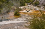 таупо, оракеи и корако, тонгариро, denissimo, thermal village, whakarewarewa, вакареварева, гейзер, деревня маори, извергающийся гейзер, корако, маори, новая зеландия, оракеи, оракеи корако, природа, путешествие, роторуа, термальный парк