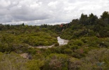 таупо, оракеи и корако, тонгариро, denissimo, thermal village, whakarewarewa, вакареварева, гейзер, деревня маори, извергающийся гейзер, корако, маори, новая зеландия, оракеи, оракеи корако, природа, путешествие, роторуа, термальный парк