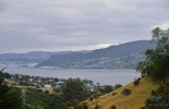 dunedin, данедин, новая зеландия, замок ларнак, дорога, Larnach Castle, болдуин стрит, крутой спуск, замок