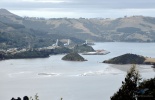 dunedin, данедин, новая зеландия, замок ларнак, дорога, Larnach Castle, болдуин стрит, крутой спуск, замок