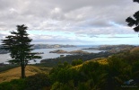 dunedin, данедин, новая зеландия, замок ларнак, дорога, Larnach Castle, болдуин стрит, крутой спуск, замок