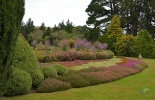 dunedin, данедин, новая зеландия, замок ларнак, дорога, Larnach Castle, болдуин стрит, крутой спуск, замок