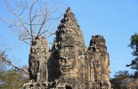 Камбоджа,ангор ват, Та Прум, Ta Prohm, Та Прухм, лара крофт, гробница, королевский монастырь, Angkor, храм байон, тропические деревья, джунгли