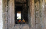 Камбоджа,ангор ват, Та Прум, Ta Prohm, Та Прухм, лара крофт, гробница, королевский монастырь, Angkor, храм байон, тропические деревья, джунгли