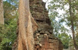 Камбоджа,ангор ват, Та Прум, Ta Prohm, Та Прухм, лара крофт, гробница, королевский монастырь, Angkor, храм байон, тропические деревья, джунгли