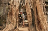 Камбоджа,ангор ват, Та Прум, Ta Prohm, Та Прухм, лара крофт, гробница, королевский монастырь, Angkor, храм байон, тропические деревья, джунгли