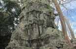 Камбоджа,ангор ват, Та Прум, Ta Prohm, Та Прухм, лара крофт, гробница, королевский монастырь, Angkor, храм байон, тропические деревья, джунгли