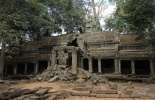 Камбоджа,ангор ват, Та Прум, Ta Prohm, Та Прухм, лара крофт, гробница, королевский монастырь, Angkor, храм байон, тропические деревья, джунгли