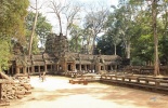 Камбоджа,ангор ват, Та Прум, Ta Prohm, Та Прухм, лара крофт, гробница, королевский монастырь, Angkor, храм байон, тропические деревья, джунгли