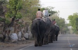 Джайпур, Jaipur,крепость-дворец Амбер, амбер,Дворец Ветров, Хава Махал, Галатджи,пушка