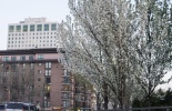 сша, солт лейк сити, тахо, озеро тахо, олимпийские города, украина, отношение в америке, разочарования, путешествие, сим карта, американска сим карта, калифорния, зимняя олимпиада, движение в америке