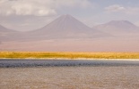 чили,пустыня Атакама,лагуна сехар,альтиплано, лагуны альтиплано, озеро сехар, солончак,атакамский солончак,фламинго