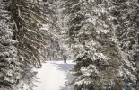 Банско,Болгария,снег,горнолыжный курорт, пловдив, городок