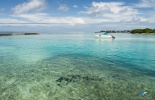 мальдивы,отдых на мальдивах,райский остров,коралловый мир