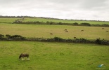 остров мэн,isle of man,великобритания,мэн,трискелион,гонки ТТ, безлимитность дорог