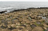 Дорога Гигантов, Giants Causeway, фарлей,северная ирландия,портраш,дорога великанов,тропа великанов,шестигранники,