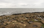 Дорога Гигантов, Giants Causeway, фарлей,северная ирландия,портраш,дорога великанов,тропа великанов,шестигранники,