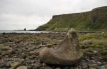 Дорога Гигантов, Giants Causeway, фарлей,северная ирландия,портраш,дорога великанов,тропа великанов,шестигранники,