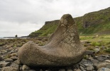 Дорога Гигантов, Giants Causeway, фарлей,северная ирландия,портраш,дорога великанов,тропа великанов,шестигранники,