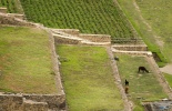 Ольянтамбо,Ollantaytambo,Ольянте,билеты,крепость,морай,марас,копи,путь,урумамба,путь на мачу пикчу,путешествие,экспедиция,строительство инков,Агуас Кальенте, Aguas Caliente