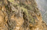 Ольянтамбо,Ollantaytambo,Ольянте,билеты,крепость,морай,марас,копи,путь,урумамба,путь на мачу пикчу,путешествие,экспедиция,строительство инков,Агуас Кальенте, Aguas Caliente