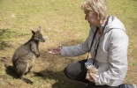 австралия,мельбурн,остров филипа,кенгуру,страусы, парк,