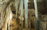 тасмания,остров,австралия,пещера,червяки светящиеся,тасманийцы,национальный парк,заповедник,100 метровые эвкалипты, путешествие