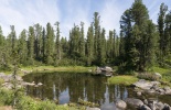 красноярский край,хакасия,саяно-шушенская ГЭС,енисей,рыбоферма,