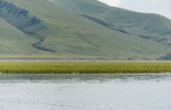 красноярское море,посёлок предков,хакасия,петроглифы,писаница,этника,абакан, Оглахты