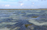 экскурсии, острова, Беноа, индонезия, морские звезды, отливы, балийца, путешествие, отдых