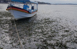 экскурсии, острова, Беноа, индонезия, морские звезды, отливы, балийца, путешествие, отдых