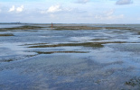 экскурсии, острова, Беноа, индонезия, морские звезды, отливы, балийца, путешествие, отдых